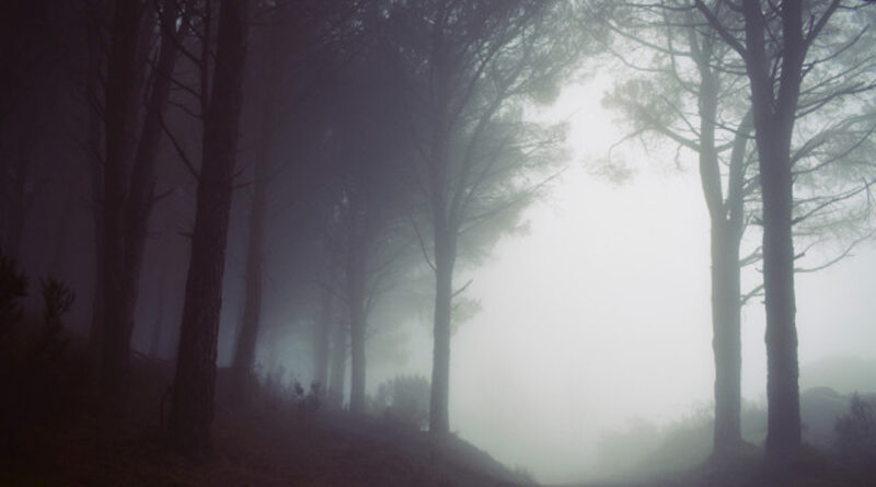 The Delusion Of Individuation