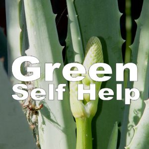 “Green Self Help” By Sturm Enrich