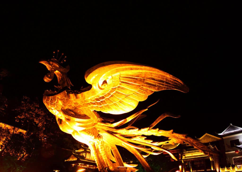 Indomitable Phoenix Within