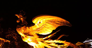Indomitable Phoenix Within